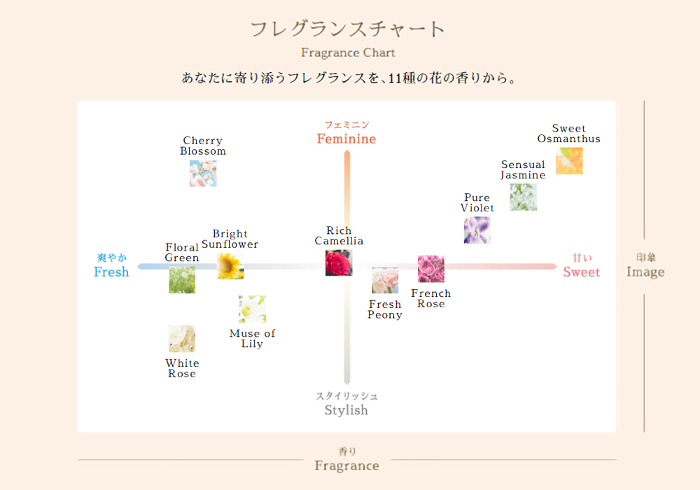 フレグランスチャート